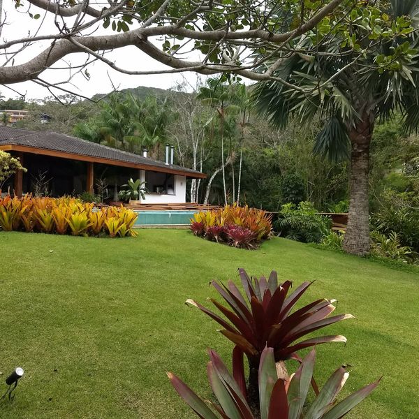 Gramado com bromélias e área de piscina