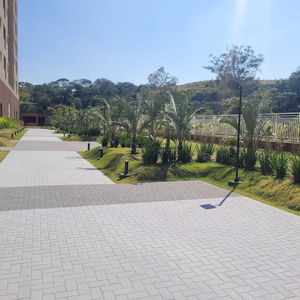 Alameda com palmeiras e paisagismo condomínio